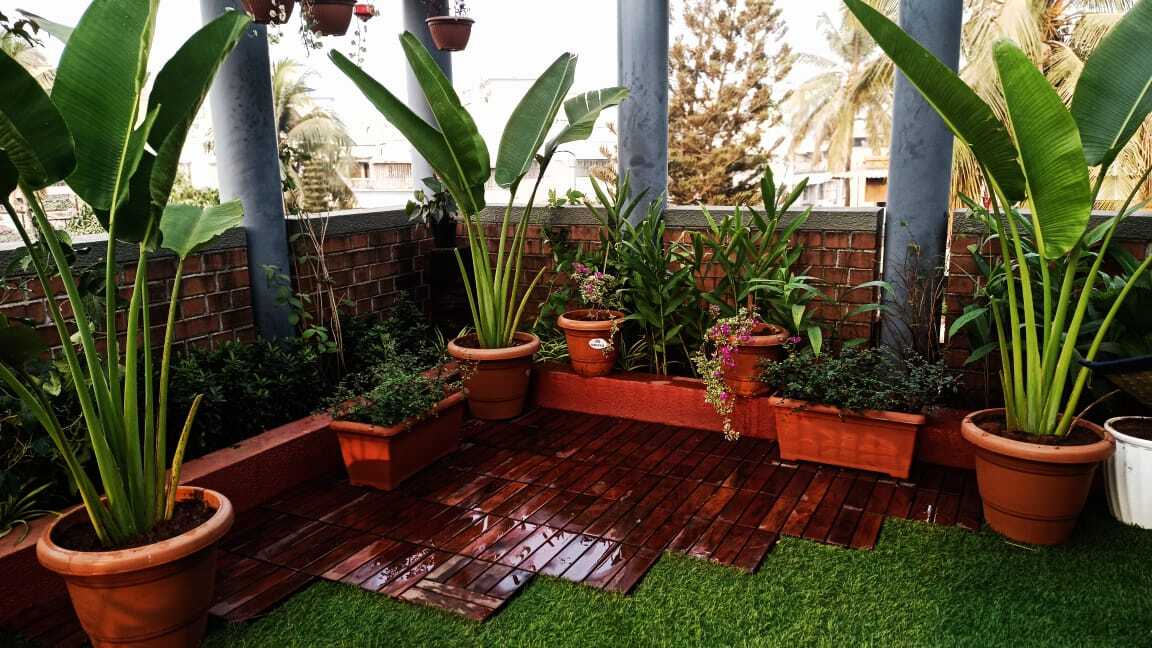 Green Space Landscape Garden Developer